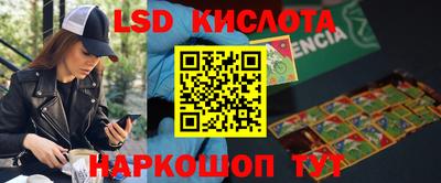 2c-b Кингисепп