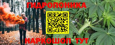 прущая мука Кимры